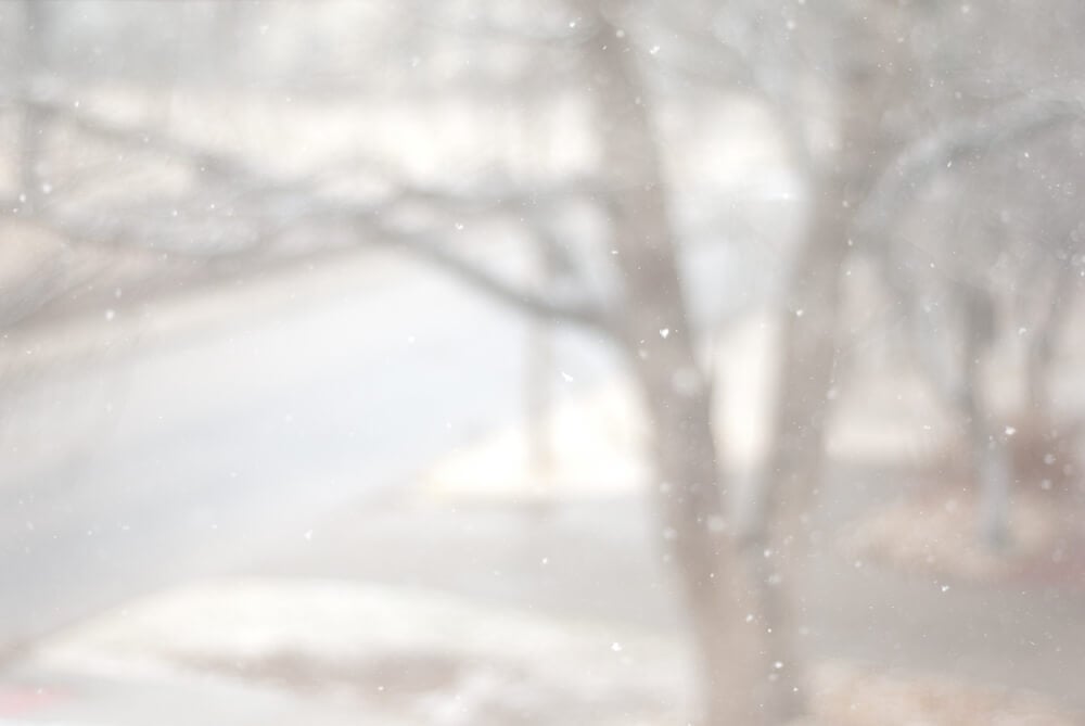 snow from my window