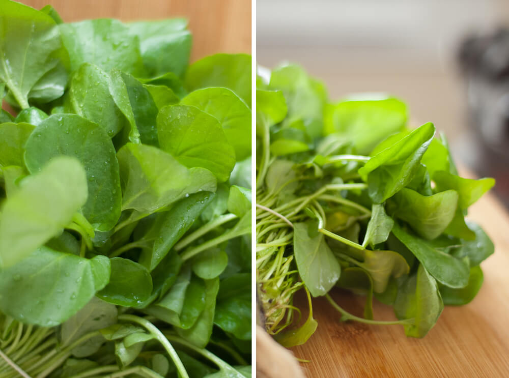 watercress