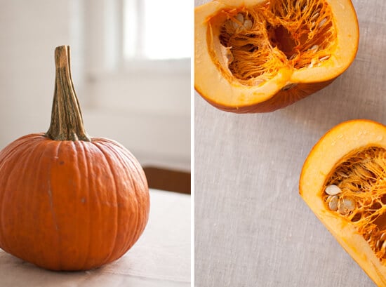 pie pumpkin