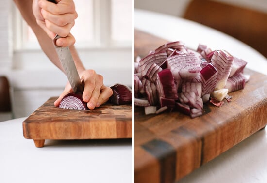 sliced red onion