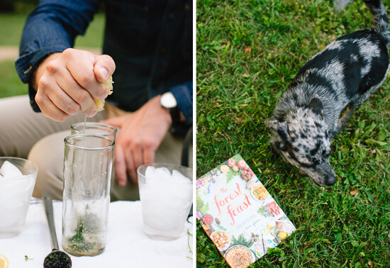 mojito cookbook